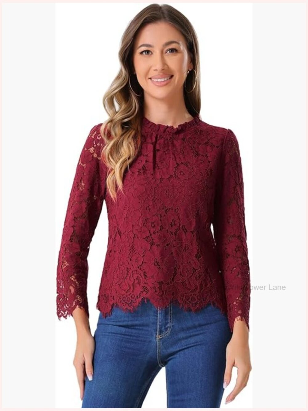 Lace Long Sleeve Ruffle Neck Blouse Dressy Casual Elegant Top
